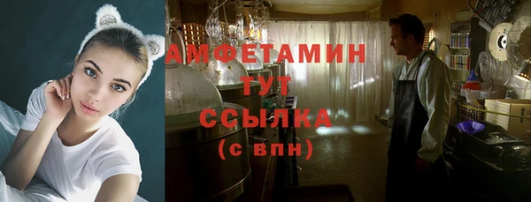 молекула духа Алексин