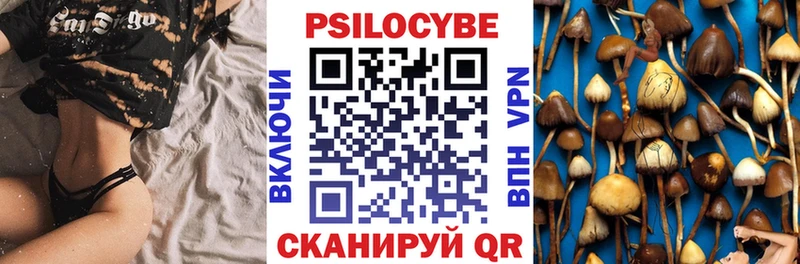 продажа наркотиков Сураж Галлюциногенные грибы Psilocybine cubensis
